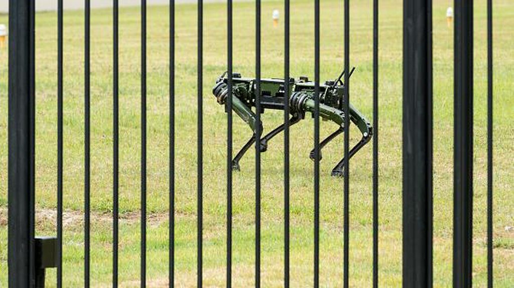 Gahar! Robot Anjing Jaga Istana Presiden Korsel