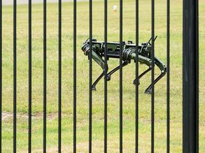 Gahar! Robot Anjing Jaga Istana Presiden Korsel