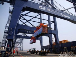 Sistem Terminal Peti Kemas JICT Terganggu, Ternyata Ini Penyebabnya