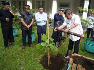 Pohon Samida Akan Dijadikan Sebagai Ikon Kabupaten Garut