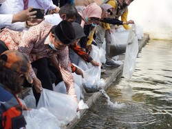 Cetak Rekor MURI! 7,6 Juta Benih Ikan Ditebar di Situ Bagendit Garut