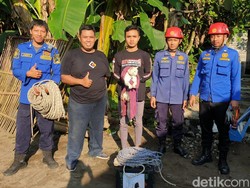 Saat Damkar Selamatkan Kucing Tercebur Sumur 10 Meter di Blitar