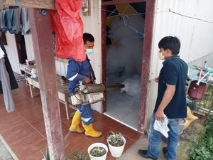 Kasus DBD di Toraja Utara Meningkat, 140 Warga Terjangkit-2 Meninggal