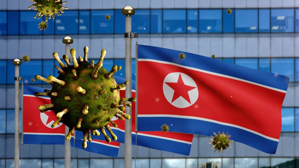 Nuevo brote de enfermedad infecciosa en Corea del Norte