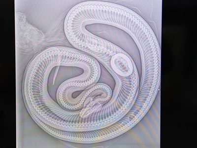 Waduh, Ular Piton di Australia Dibawa ke RS Gegara Makan Telur Keramik