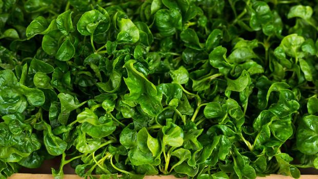 Watercress for diet.