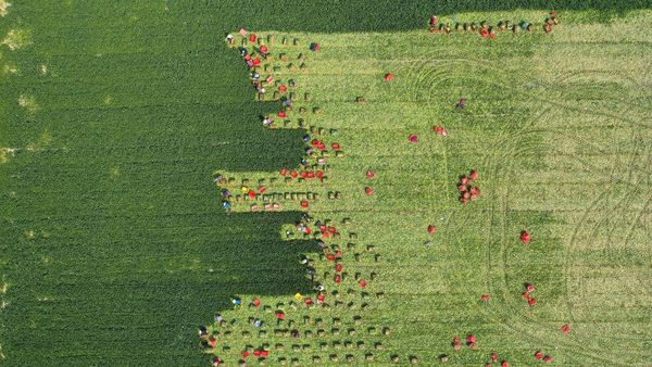 Jepretan Drone Ini Sekilas Terlihat Bak Lukisan
