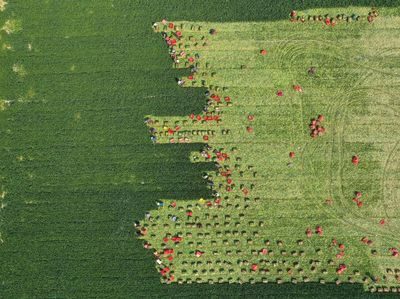 Jepretan Drone Ini Sekilas Terlihat Bak Lukisan