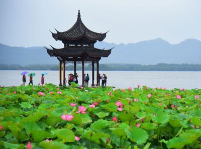 Indahnya Lansekap Teratai yang Bermekaran di Paviliun Jixian