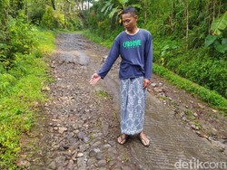 Serangan Babi Hutan Lukai 4 Orang di Magelang