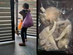 Bocah Ini Putus Sekolah, Demi Jualan Jamur untuk Bantu Keluarga