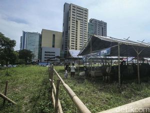 Jelang Idul Adha, Penjual Hewan Kurban Mulai Bermunculan Jelang Idul Adha, Penjual Hewan Kurban Mulai Bermunculan