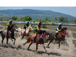 Pemprov NTB Bakal Hilangkan Joki Cilik di Pacuan Kuda