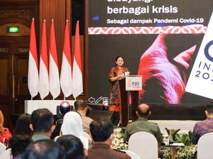 Puan Dinilai Bisa Jadi Komunikator Ulung untuk Bawa Agenda RI di P20
