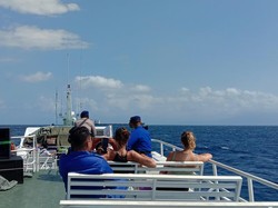 Asyik...Rute Kapal Cepat Lombok-Bali Telah Dibuka