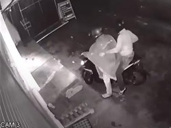 Beredar Video Peracun Anjing di Denpasar, Polisi Turun Tangan