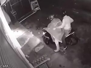 Beredar Video Peracun Anjing di Denpasar, Polisi Turun Tangan Beredar Video Peracun Anjing di Denpasar, Polisi Turun Tangan