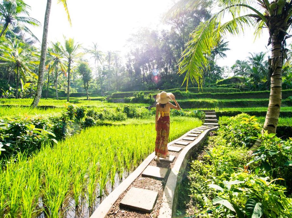 Libur Tengah Tahun, 5 Spot Wisata Terbaik di Bali Ini Wajib Dikunjungi! Libur Tengah Tahun, 5 Spot Wisata Terbaik di Bali Ini Wajib Dikunjungi!