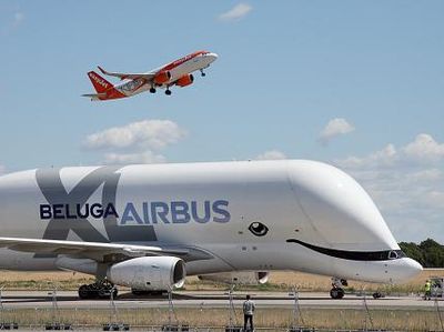 Penampakan Airbus Beluga XL, Pesawat Super Jumbo Saingan Antonov