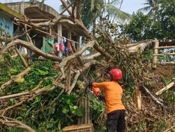 2 Orang Dilaporkan Hilang Akibat Tanah Longsor di Bogor, 1 Meninggal