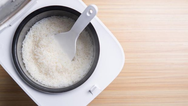 Ilustrasi rice cooker