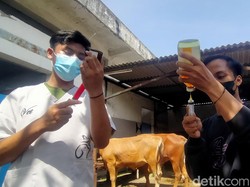 RPH Surabaya Jamin Sapi Kurban dalam Kondisi Sehat-Bebas Wabah PMK