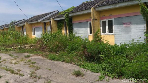 Intip Rumah Murah Program Jokowi, Kosong-Dimakan Tanaman
