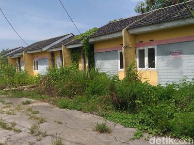 Intip Rumah Murah Program Jokowi, Kosong-Dimakan Tanaman