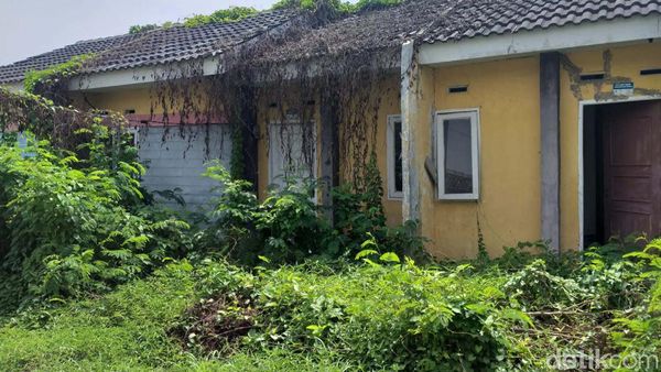 Penampakan Rumah Murah Jokowi di Cikarang, Kosong-Ditumbuhi Tanaman