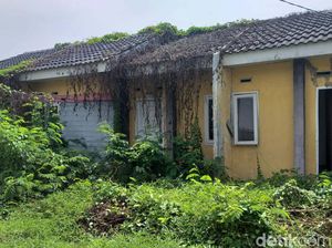 Penampakan Rumah Murah Jokowi di Cikarang, Kosong-Ditumbuhi Tanaman