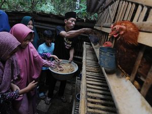 Seru, Di Sini Anak-anak Bisa Liburan Sambil Bertani-Beternak Ayam Seru, Di Sini Anak-anak Bisa Liburan Sambil Bertani-Beternak Ayam