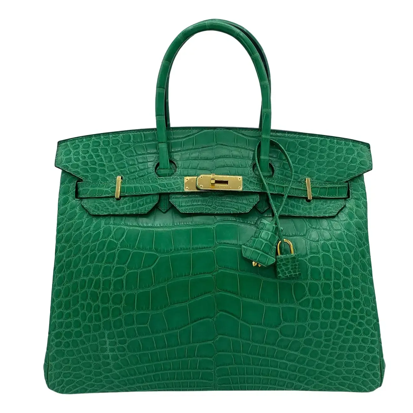 nagitaslavina carried #Hermes birkin 25 beton matte alligator with