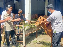 DPRD Surabaya Dorong Pemkot Tambah Modal ke RPH untuk Inovasi Bisnis