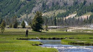 Indahnya Taman Nasional Yellowstone AS, Kapan ke Sana?