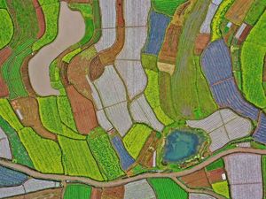 Bukan Lukisan, Ini Terasering Sungguhan Lho