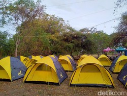 Dispar NTB Sediakan Camping Ground Gratis Untuk Penonton MXGP