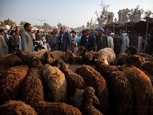 Sejarah Idul Adha 10 Dzulhijjah, Perjalanan Kisah Nabi Ibrahim
