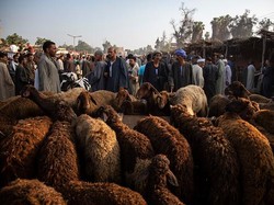 Sejarah Idul Adha 10 Dzulhijjah, Perjalanan Kisah Nabi Ibrahim