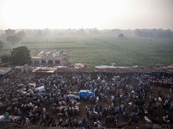 Pemerintah Tetapkan Idul Adha 1443 H Minggu 10 Juli 2022, Ini Amalan Sunnahnya