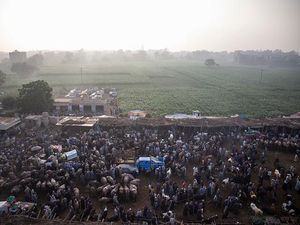 Pemerintah Tetapkan Idul Adha 1443 H Minggu 10 Juli 2022, Ini Amalan Sunnahnya