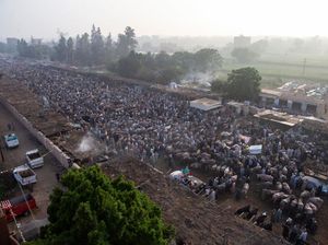Berjubelnya Pasar Hewan di Mesir Jelang Idul Adha Berjubelnya Pasar Hewan di Mesir Jelang Idul Adha