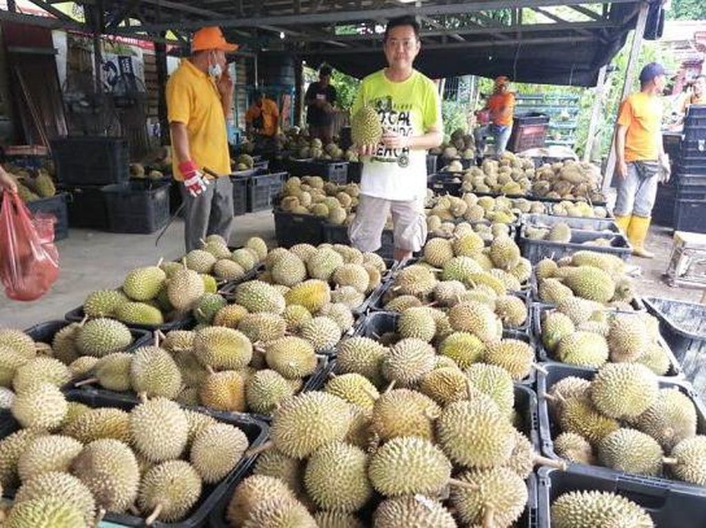 Sebanyak 2 Ton Durian Dibagikan Gratis, Syaratnya Sungguh Mulia!
