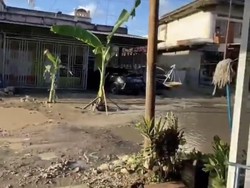 Warga di Sidrap Tanam Pohon Pisang di Tengah Jalanan Rusak