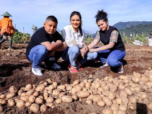 10 Potret Keseruan Krisdayanti Panen Kentang di Kebun
