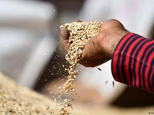 Rusia & Ukraina Bakal Teken Kesepakatan Ekspor Gandum