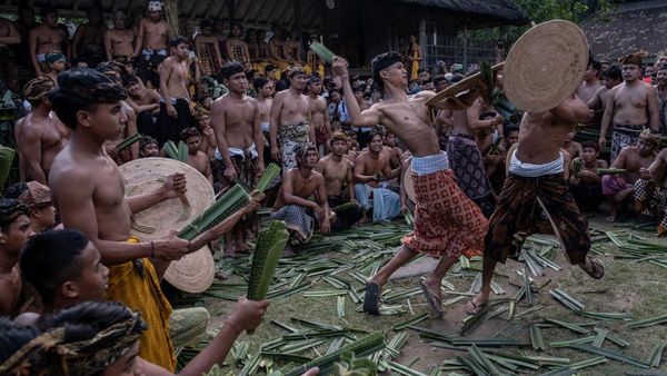Kuat dan Berani, Begini Aksi Pria di Bali dalam Perang Pandan Berduri