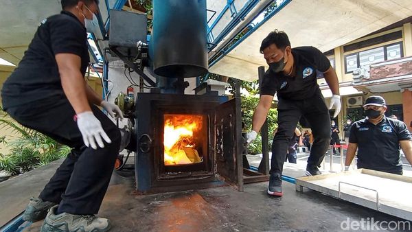 Pemusnahan Narkoba Milik DPO Bule Australia di Bali