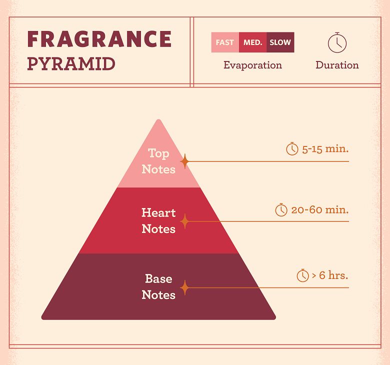 What Are Perfume Notes what-are-perfume-notes