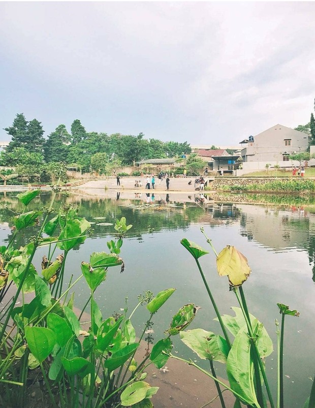 Taman Apung/Foto: Instagram.com/explore_jakarta @kreshna Taman Apung/Foto: Instagram.com/explore_jakarta @kreshna