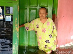 Curhatan Nenek di Pekalongan, Langganan Banjir Rob tapi Nihil Bantuan